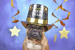 Greeting: French Bulldog dog wearing New Year's Eve party