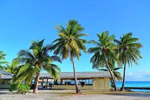Organized: The French Polynesia in pearl farms are organized