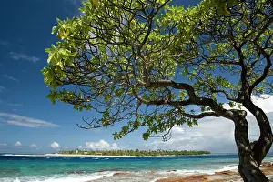 Wendy: French Polynesia, Society Islands, Rangiroa