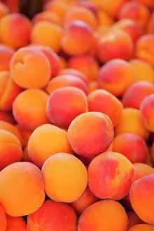 Sale: Fresh apricots for sale at the market in