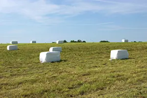 Plastic: Fresh Hay