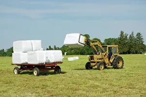Heavy: Fresh Hay