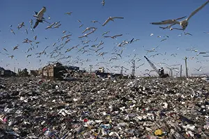 Landfill: Fresh Kills Landfill