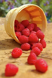 Idaeus: Fresh raspberries