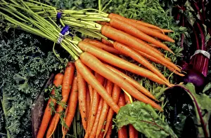 Grocery: Fresh Vegetables
