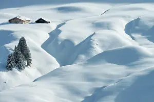 Bern: Freshly snow-covered winter landscape with an alp