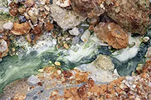 Oxide: Freshwater Algae
