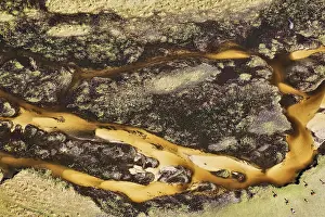 Gomoti: Freshwater marshes with sandy streams, channels