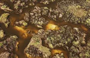 Sandbanks: Freshwater marshes with sandy streams, channels