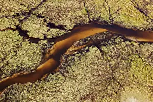 Sandbanks: Freshwater marshes with sandy streams and channels