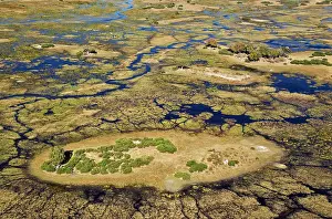 Gomoti: Freshwater marshes with streams, channels and islands