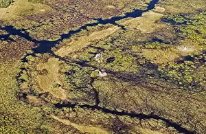 Gomoti: Freshwater marshes with streams, channels and islands
