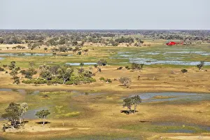Channels: Freshwater marshes with streams, channels and islands