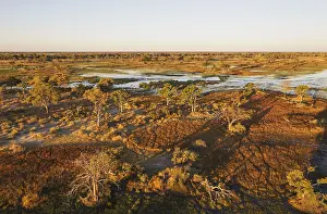100817: Freshwater marshes with streams, channels and islands