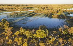 100817: Freshwater marshes with streams, channels and islands