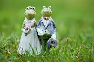Decoratively: Frog figurines as wedding couple, in grass