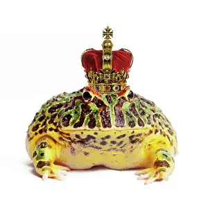Crowns: Frog Prince - wearing crown