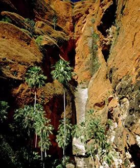 Conglomerate: Froghole Gorge with undescribed palms & boulders