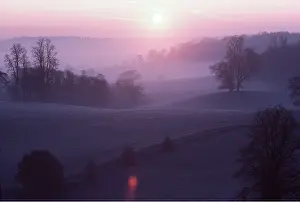Sympathy: FROST AT DAWN