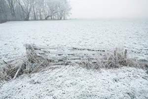 Drentse: frost on a wooden fence with cold winter conditions