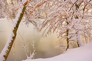 Deeply: Frosty Winter Scene - deeply snow covered winter
