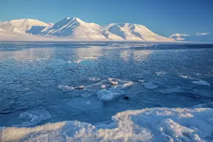 Adventfjorden: Frozen Adventfjorden - frozen coastline on by little ice flo