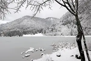 Winterlandscape: Frozen lake with surrounding forest