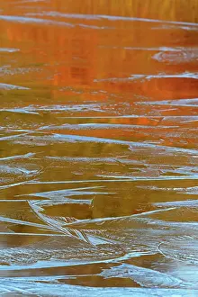 Duinen: Frozen pond with ice patterns reflecting the surrounding bus