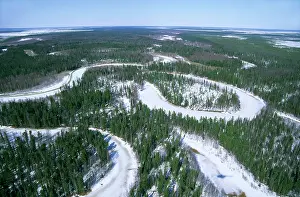 Meanders: Frozen river meanders in Taiga-forest, a tributary