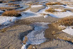 Beveland: Frozen riverbank of Westerschelde estuary