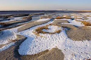 Beveland: Frozen riverbank of Westerschelde estuary