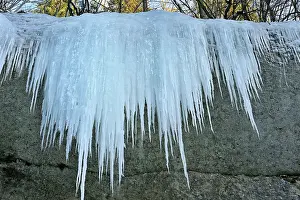 Icicles: Frozen Waterfall icicles