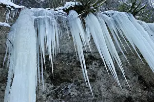 Icicles: Frozen Waterfall icicles