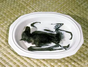 Toxins: Fruit Bat Soup