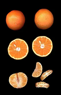 Mandarins: Fruit - Mandarin