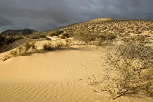 Playas: Fuerteventura - dunes near Las Playas