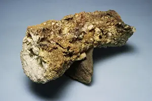 Fused: Fulgurite