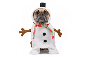 Scarf: Funny French Bulldog dog dressed up as snowman w