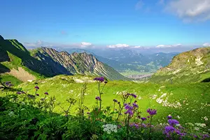 Oberstdorf: Gai&, x7e1;lpe am Nebelhorn, Allg&, x4d60;Alps, Oberstdorf