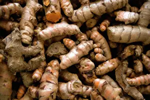 Flavouring: Galangal