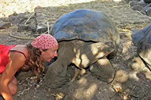 Laughter: Galapagos Giant Tortoise
