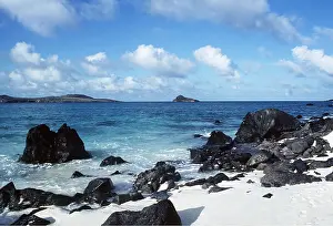 Hood: GALAPAGOS - Hood / Espanola ISLAND
