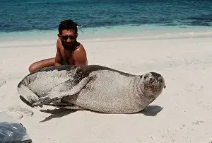 Sealion: Galapagos SEALION on beach with tourist guide Filipe