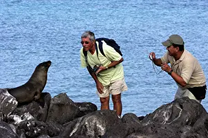 Wolleback: Galapagos Sealion and tourists