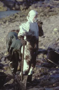 Disasters: Galicia Oil Spill