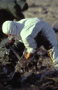 Disasters: Galicia Oil Spill