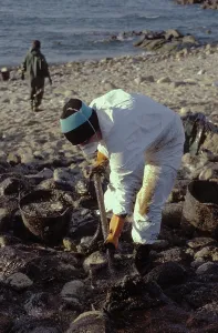 Disasters: Galicia Oil Spill