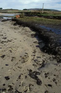 Disasters: Galicia Oil Spill