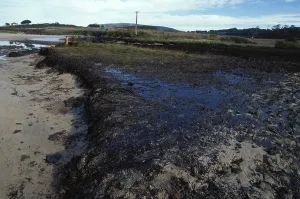 Disasters: Galicia Oil Spill