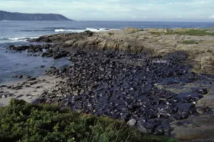 Disasters: Galicia Oil Spill